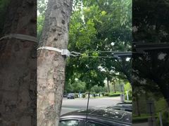 مشابك تثبيت كابل الألياف الضوئية FTTH لتعليق الكابلات ADSS بقطر 8-12 مم