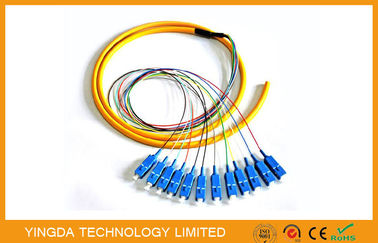 شراء الصناعة 12 كور SC الألياف البصرية ضفيرة اندلاع، FTTH SM LSZH SC الضفيرة كورنينج الألياف G652D التصنيع عبر الإنترنت